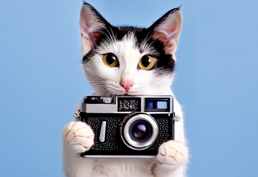 2023 Pet Photography Buying Guide | How to Choose?