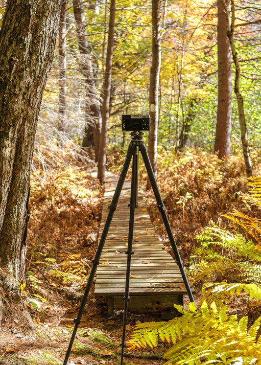 Buying Guide | Zero Y  vs Zero F38 Travel Tripod